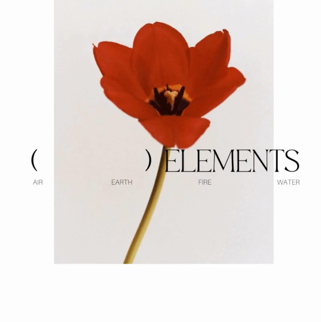 "Elements" | SS25 Collection